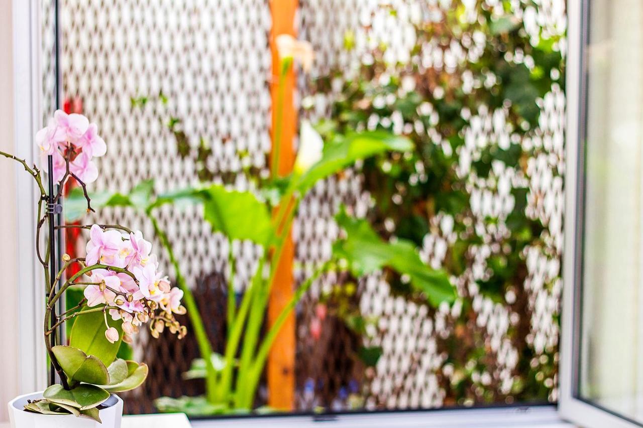 Heart Of Aveiro Apartment エクステリア 写真